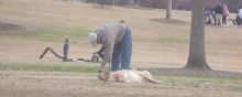 Ce chien resterait bien allongé un peu plus longtemps que ne le voudrait son maître...