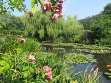 Le bassin aux nymphéas de la résidence de Claude Monet.