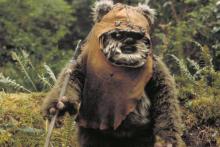 Un Ewok dans "Le Retour du Jedi".