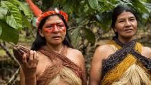 Indiens Amazonie