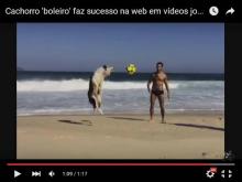 Chien-Football-Plage-Brésil