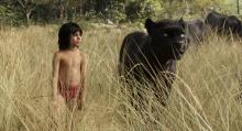 Film Le Livre de la Jungle Neel Sethi 