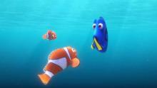 Dory, le poisson.