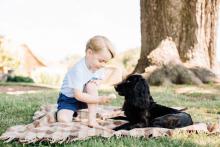 le prince George et son chien 