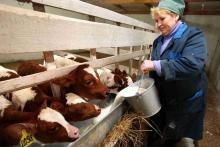 Une ferme en Russie