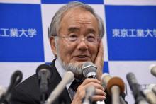 Yoshinori Ohsumi reçoit le prix nobel de médecine 2016