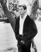 Warren Beatty 1960