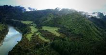 Whanganui Fleuve Nouvelle-Zélande Etre vivant