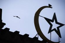 Un oiseau volant au-dessus de la Grande mosquée de Paris, le 17 juin 2015