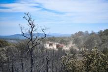 Des camions de pompiers dans une zone brûlée par les incendies près d'Artigues, dans le Var, le 27 j