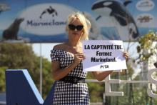 L'actrice américano-canadienne Pamela Anderson, le 22 août 2017 devant le Marineland d'Antibes