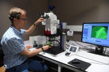 Le chercheur à l'Institut de biologie moléculaire des plantes de Strasbourg, Christophe Ritzenthaler