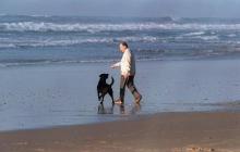 François Mitterrand et son chien Baltique.