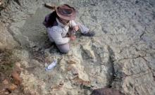 trace empreinte de dinosaures en Bolivie 