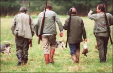 Des chasseurs dans la nature. 