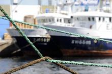 Des chalutiers dans le port de Vigo au Portugal, le 13 juin 2008