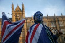 Un manifestant pro-européen devant la Chambre des Parlementaires à Londres, le 18 décembre 2017