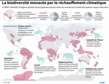 Un passereau sur une branche le 15 mars 2018 à Medellin en Colombie où se tient la réunion de la Plateforme intergouvernementale sur la biodiversité et les services écosystémiques (IPBES) du 17 au 26 