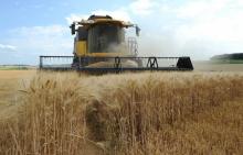 Moisson dans un champ de blé à Civray-sur-Esves, dans le centre de la Frace, le 25 juillet 2013