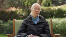 Jane Goodall