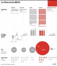 Comparaison des principales données économiques du Brésil, de la Chine, de la Russie, de l'Inde et de l'Afrique du Sud