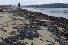 Des résidus d'hydrocarbures sur la plage de Pampelonne le 16 octobre 2018 à Ramatuelle