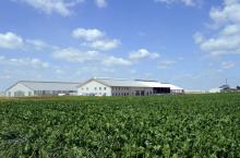 La Ferme des Mille Vaches, dans le nord de la France, en 2014