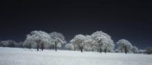 Paysage blanc au Texas.