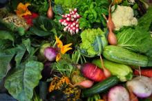 La zone des légumes au marché international de Rungis, le 1er décembre 2017, près de Paris