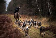 Chasse à courre dans la forêt près de Châtenoy, dans le Loiret, le 23 décembre 2017