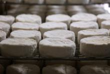 Des camemberts stockés dans une fromagerie du village de Camembert, en France, le 11 avril 2013