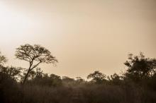 Le parc national de la Pendjari, dans le nord du Bénin, le 11 janvier 2018