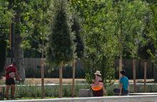 Un jardinier travaille dans le parc Blandan à Lyon le 24 juillet 2019