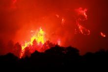 Un incendie attisé par un vent puissant ravage la végétation près du village de Monze, dans le sud de la France, le 15 août 2019