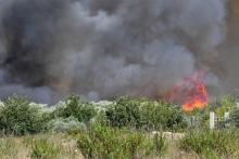 Le feu fait rage à Vauvert (Gard) dans le secteur où s'est écrasé un bombardier d'eau, le 2 août 2019