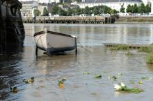 Des fleurs lancées dans la Loire en hommage à Steve Maia Canico le 3 août 2019 à Nantes