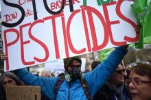 Une pancarte "Stop Pesticides" lors d'une manifestation en mars 2016