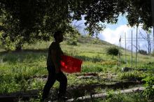 Les agriculteurs appellent à l'aide pour le travail des champs 