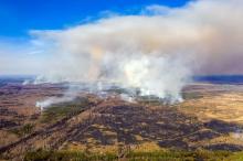 Des incendies ravangent des forêts près de la centrale de Tchernobyl (Ukraine)