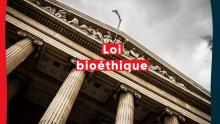 Loi bioéthique