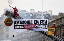 Greenpeace bloque l'Elysée