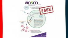 ANSM virus