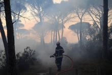 Zone parcourue par l'incendie, le 17 août 2021 près de Gonfaron, dans le Var