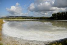 Plage redessinée par la nature aux "Vieux-Salins" d'Hyères, le 31 août 2021