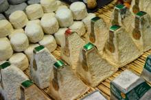 Des fromages AOP