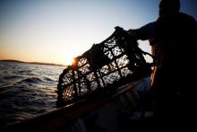 Un pêcheur près des côtes de Granville, le 5 août 2018