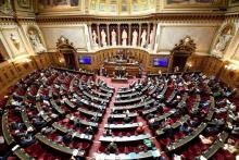 Les amendements seront examinés aujourd'hui et demain par le Sénat