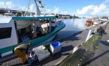 Un pêcheur décharge sa pêche dans le port de Boulogne-sur-Mer, dans le nord de la France, le 3 novembre 2021