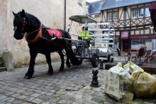 La jument "Doupette" sillonne les ruelles du Mans pour collecter les déchets recyclables, le 18 janvier 2022