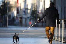 Bergerac, capitale du très touristique Périgord pourpre, vient de créer une contravention pouvant aller jusqu'à 750 euros pour tout propriétaire de chien qui ne ramasse pas les déjections de son anima